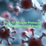 The 10-Minute Protocol for Peak Mitochondrial Energy The 10-Minute Protocol for Peak Mitochondrial Energy