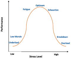 Stress Resilience