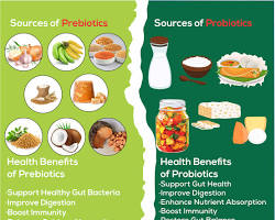Gut Health