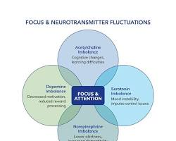 Brain Fog