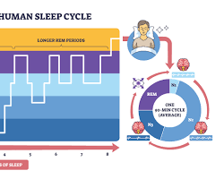 Sleep Optimization