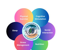 Nootropics